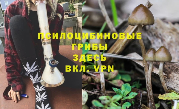 кокаин премиум Михайловск
