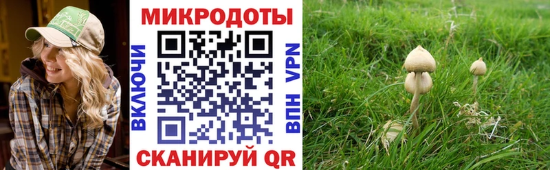 закладки блэк спрут ONION Псилоцибиновые грибы MAGIC MUSHROOMS Пятигорск