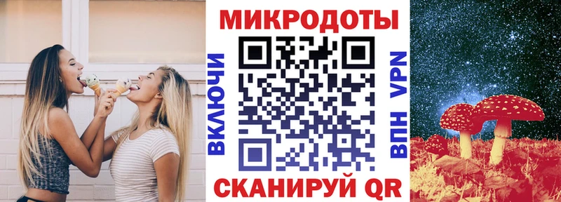 Псилоцибиновые грибы Psilocybe Пятигорск