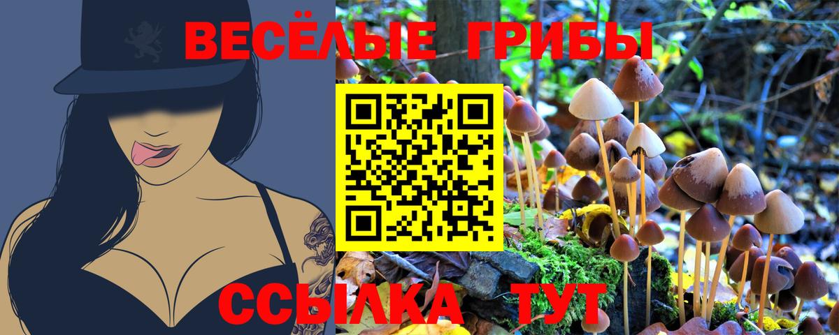 Галлюциногенные грибы MAGIC MUSHROOMS Пятигорск