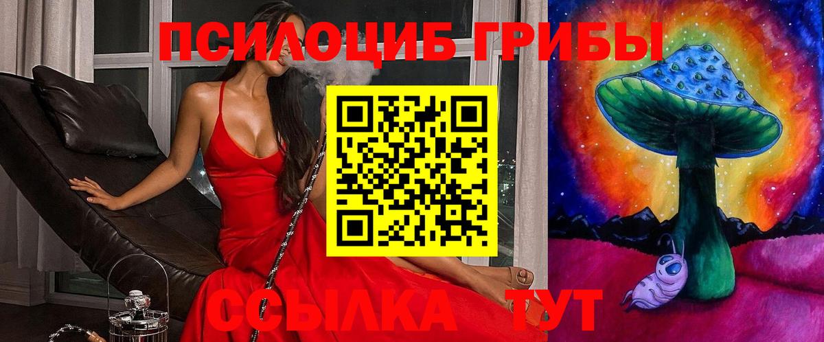 Галлюциногенные грибы прущие грибы  Пятигорск  Галлюциногенные грибы мицелий 