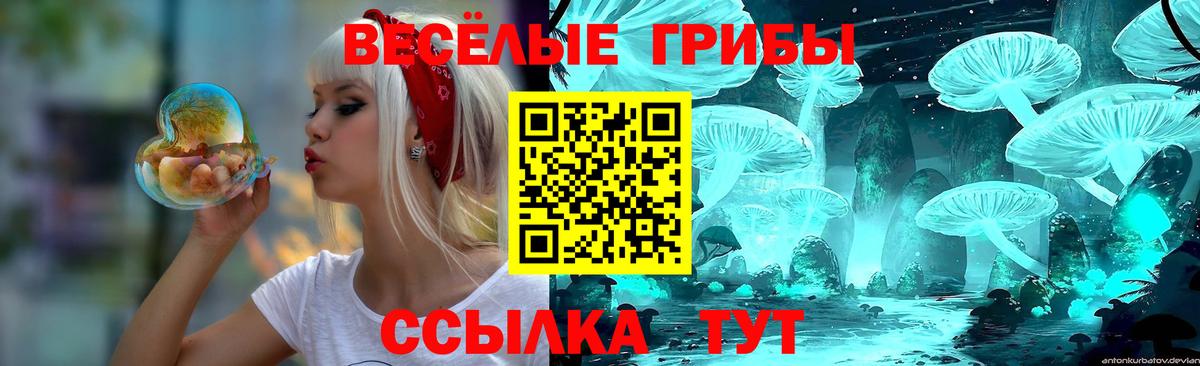 Галлюциногенные грибы ЛСД Пятигорск